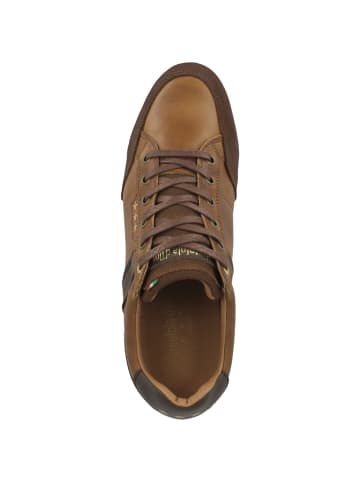 Pantofola D'Oro Sneaker low Roma Uomo Low in braun