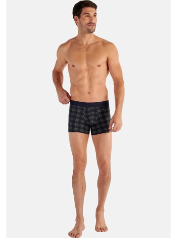 HOM Retro Short / Pant Sid in Navy check