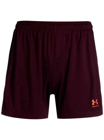 Under Armour Trainingsshorts Challenger Knit in bordeaux