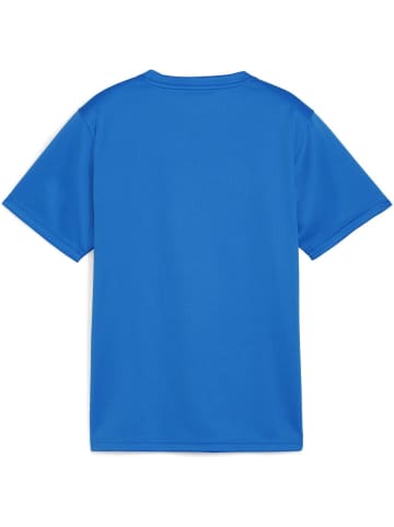 Puma T-Shirt "TeamGoal Jersey Jr" in Blau