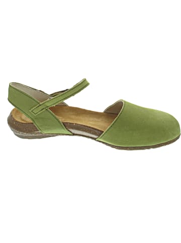 El Naturalista Wakataua Sandale Grün