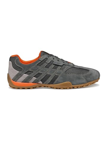 Geox Sneakers Low U Snake Orginal A in grau