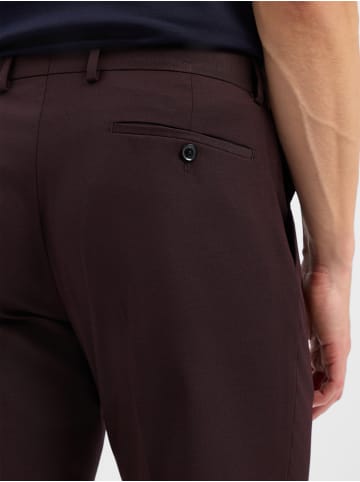 Finshley & Harding Hose Mitch in aubergine - 0001