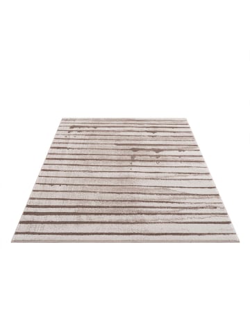 payé Teppich Kurzflor Toscai
