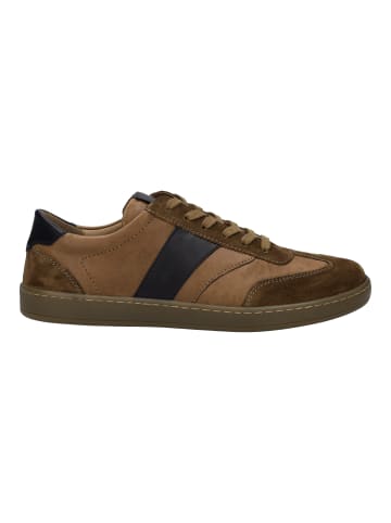 Josef Seibel Sneaker Lio 06 in braun