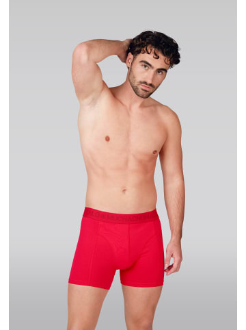 Muchachomalo 3er-Set: Boxershort in Mehrfarbig - für Herren