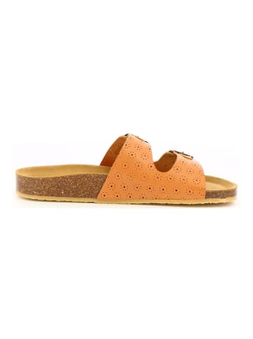Kickers Pantoletten in Camel