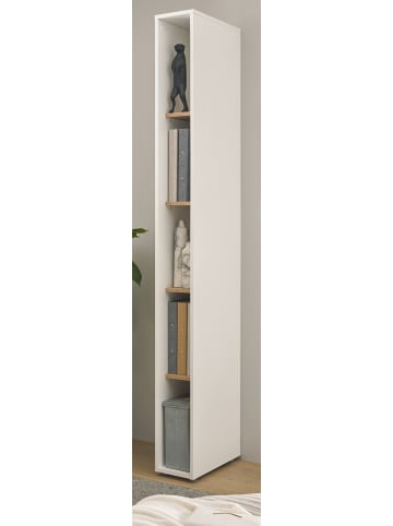 Furn.Design Aktenregal Weiß matt, Eiche Wotan 20 x 200 cm, Standregal mit 5 Ordnerhöhen