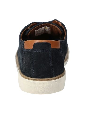 Camel Schnürschuhe in navy
