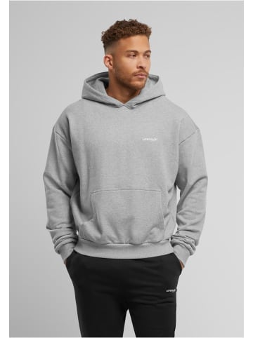 Mister Tee Mister Tee Kapuzenpullover in grey