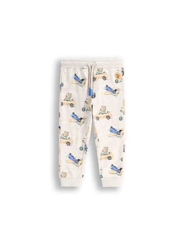 Coccodrillo Jogginghose in grau