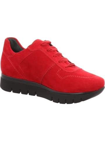Semler Sneaker Low in rot