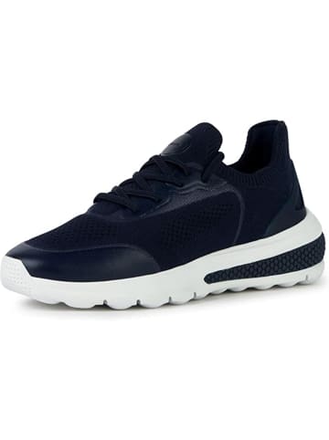 Geox Freizeit Schnürer für Damen in blau in blau