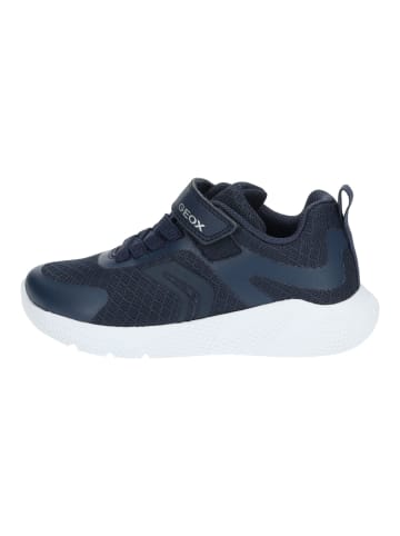 Geox Sneaker in Navy