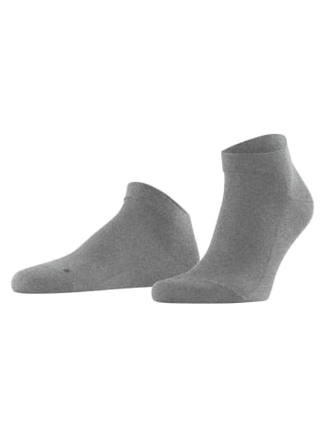 Falke Socken 1er Pack in Grau