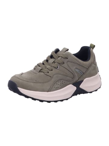 Gabor Lowtop Sneaker Gabor Lowtop Sneaker in oliv (tundra)