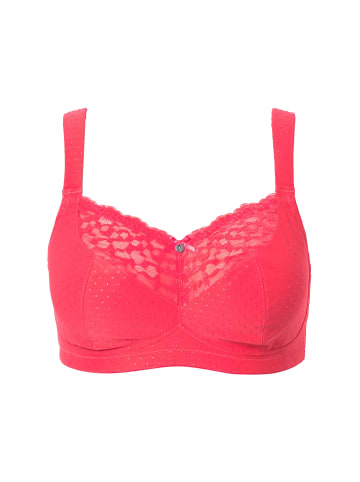 Ulla Popken BH in pink