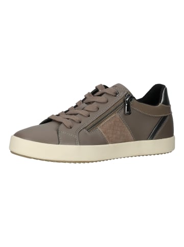 Geox Sneaker in Taupe