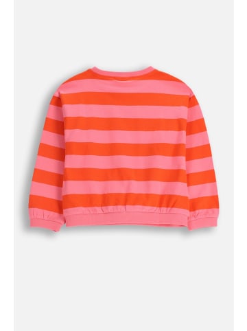 Coccodrillo Langarmshirt in rosa