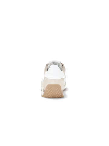 Gabor Sneaker für Damen in beige