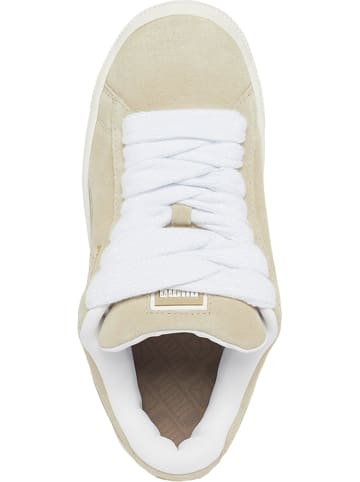 Puma Puma Turnschuhe in putty/warm putty