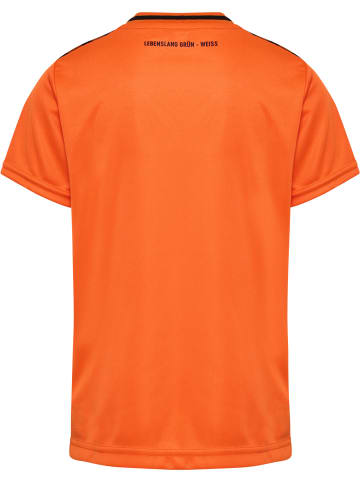 Hummel Hummel T-Shirt Wer 23/24 Fußball Kinder Schnelltrocknend in ORANGE TIGER