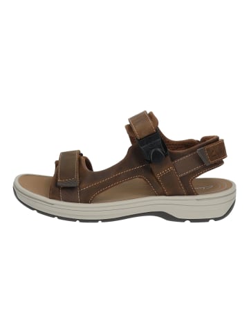 Clarks Sandalen in Tan