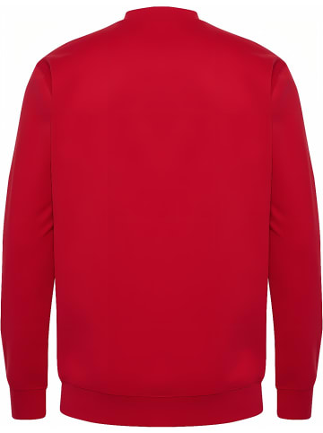 Hummel Hoodie "Hmlgo 2.0 Sweatshirt" in Rot