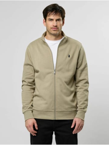 MCS Pullover Jones in Laurel Oak