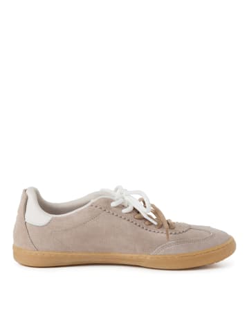 Tamaris Sneaker Low in Beige