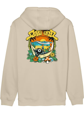 Santa Cruz Hoodie "Winkowski 8Baller Trip Hood" in Braun