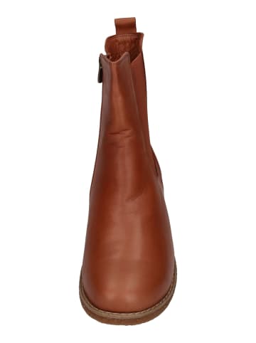 Andrea Conti Stiefeletten 0022848-1136 in braun