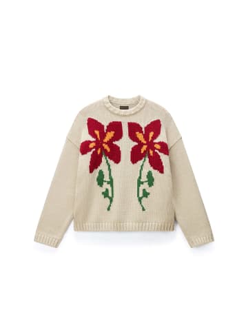 Napapijri Pullover D-BLOOM C W in Putty N5E