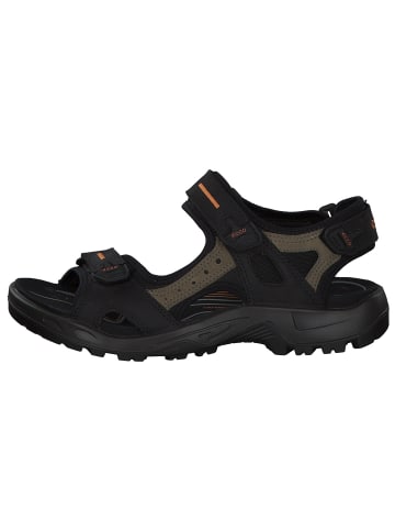 Ecco Klassische Sandalen in BLACK/MOLE/BLACK