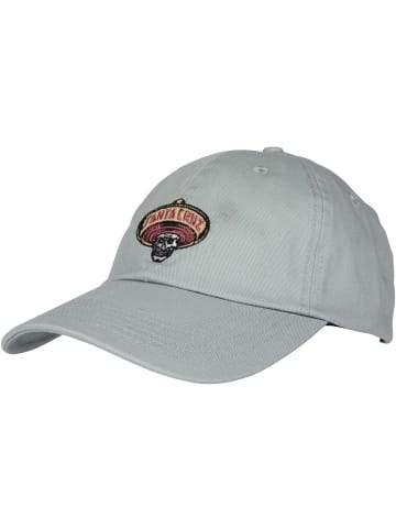 Santa Cruz Cap "Guzman Skull Cap" in Braun