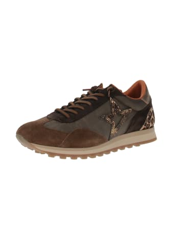 Cetti Sneaker low C-1259 in Mehrfarbig