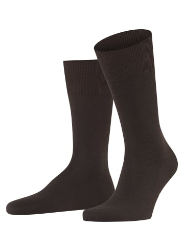 Falke Socken Airport in Brown