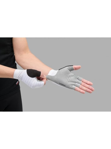 BASIL SHIMANO-Phyre Fl