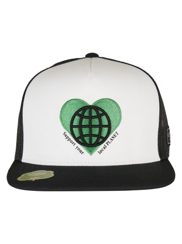  Cayler & Sons Dad Cap in black/mc