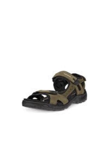 Ecco Herren- Sandalen  in Braun