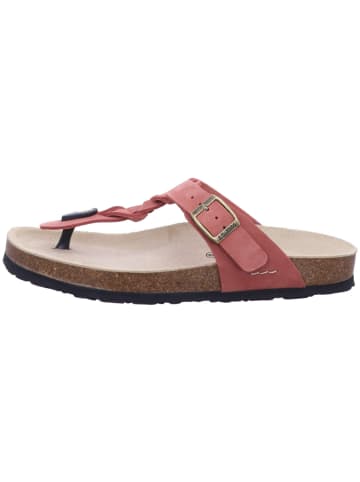 Josef Seibel Zehentrenner für Damen in beige