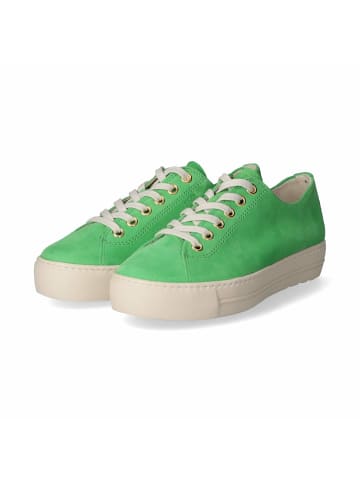 Paul Green Low Sneaker in Grün