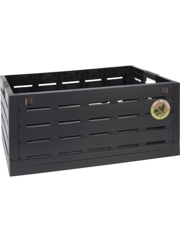 Storage Solutions Klappbox in schwarz