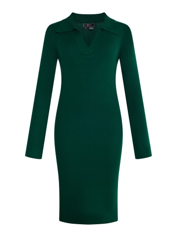 faina Damen Jersey Etuikleid in Smaragdgrün