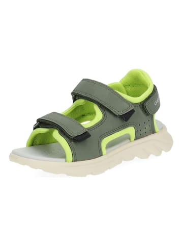 Geox Sandalen in Military