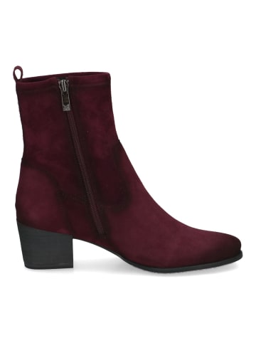 Caprice Stiefelette in Bordeaux