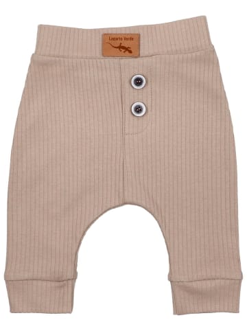 Lagarto Verde Hose Herbst, Winter in beige