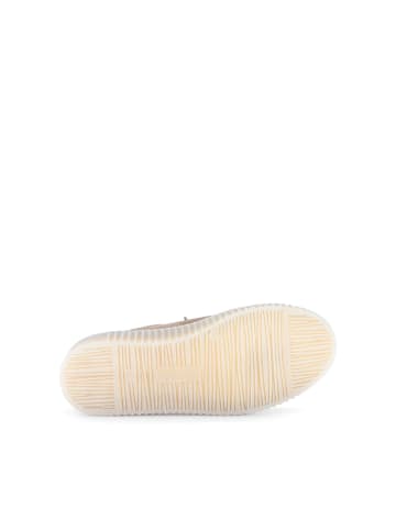 Gabor Sneaker low in braun