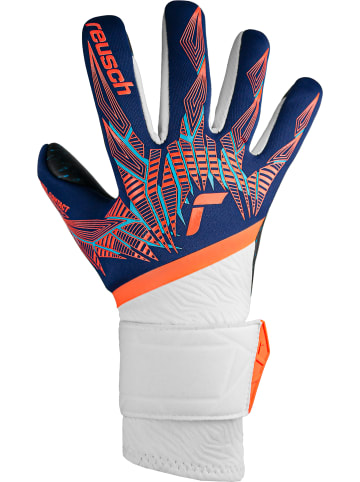 Reusch Torwarthandschuh Pure Contact Fusion Junior in 4848 premi blu/electr oran/blc