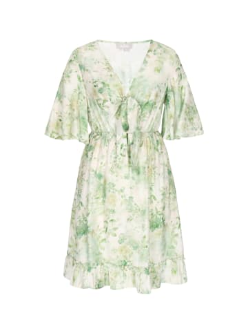 Usha Women Dress in green